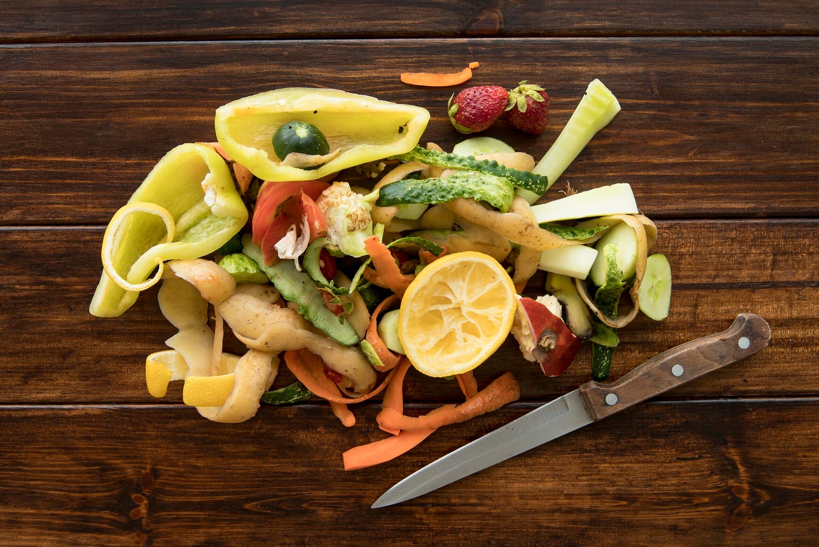 Atelier cuisine - Festival alimenterre