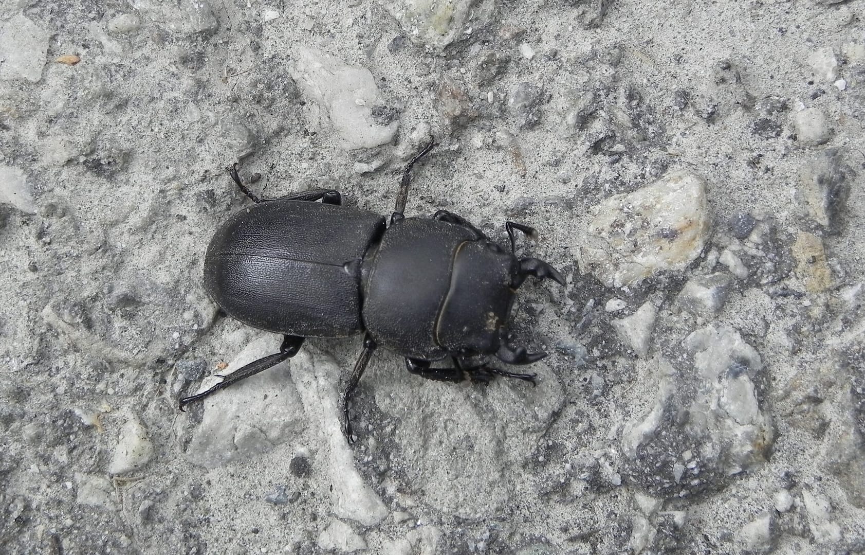 Découverte de la Nature -