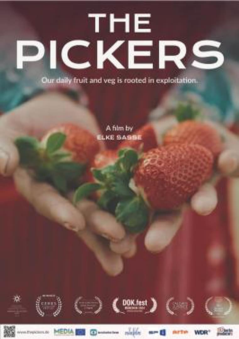 Film : The pickers - Fruits amers
