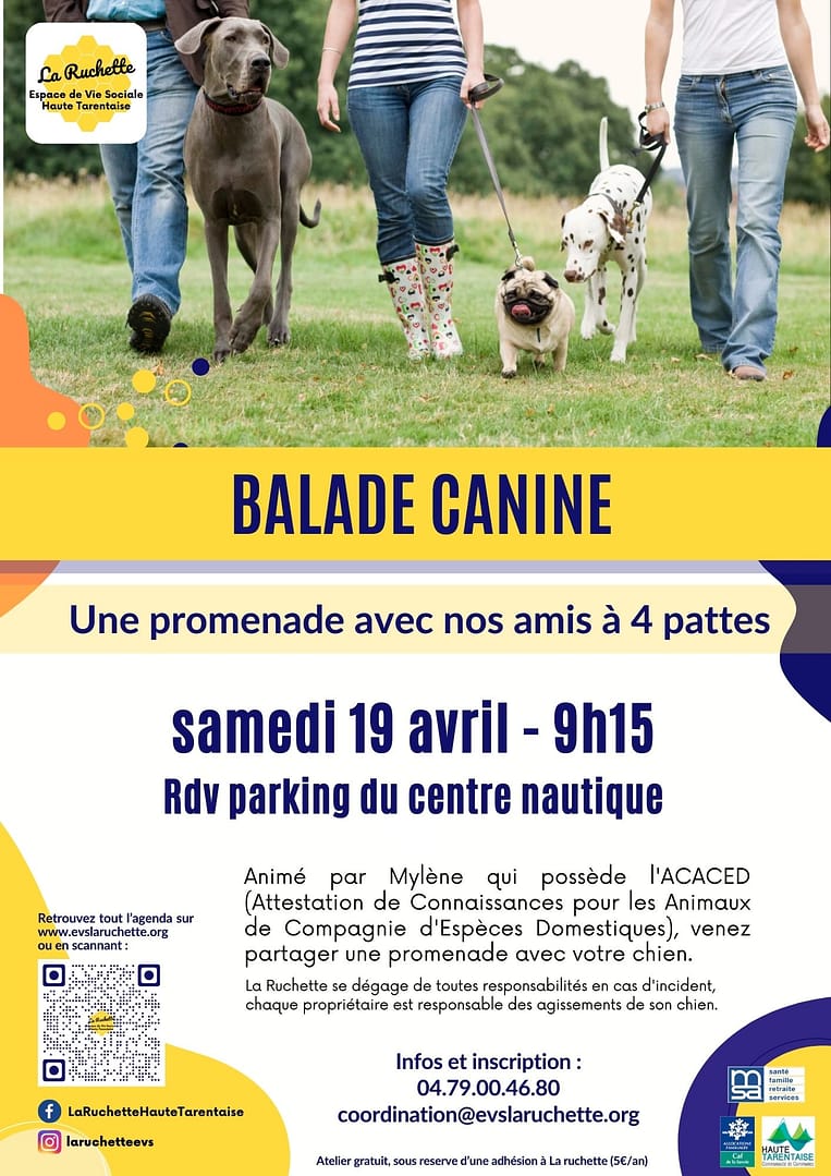 Balade Canine